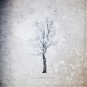 小女生隐藏配位
